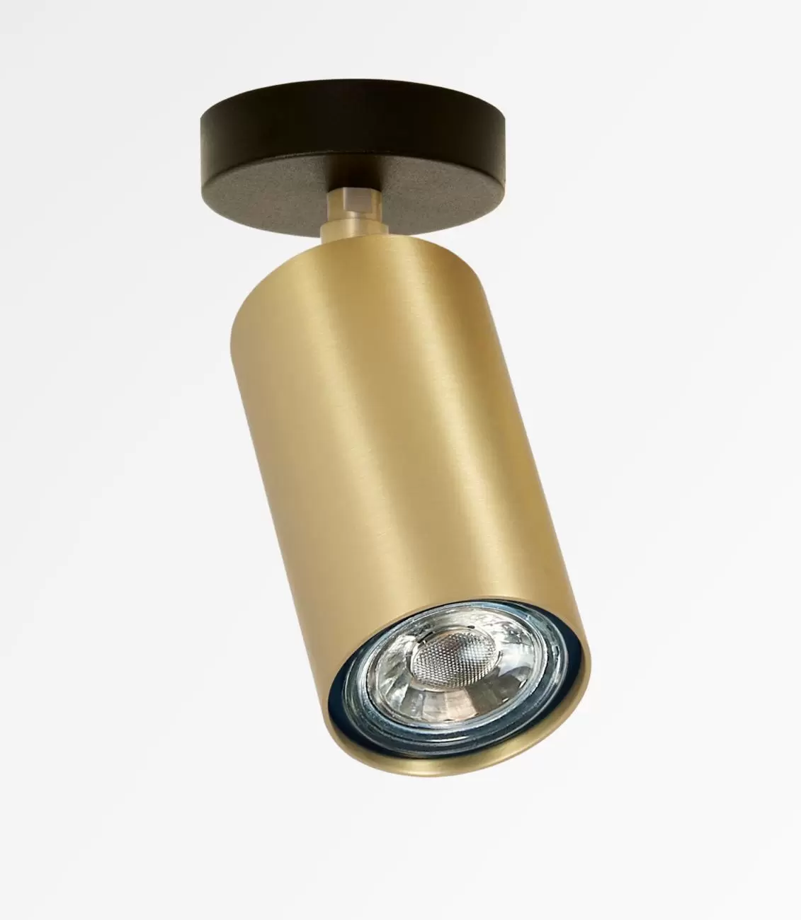 spot plafond orientable