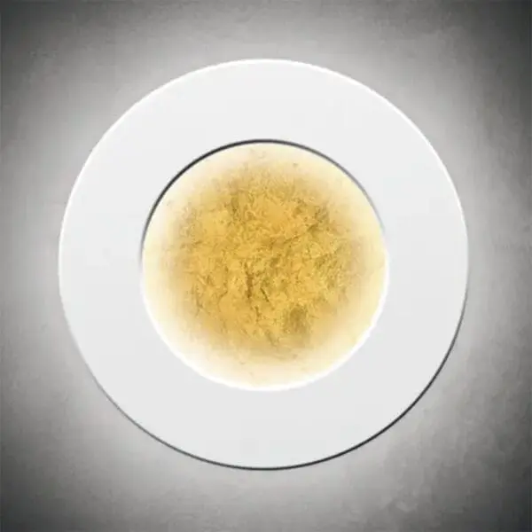 Feuille dorée & Anneau blanc